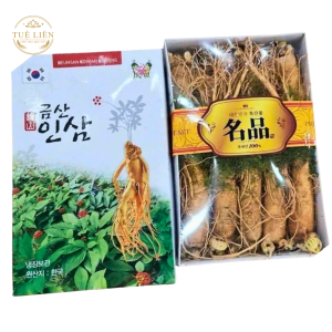 SÂM TƯƠI HÀN QUỐC